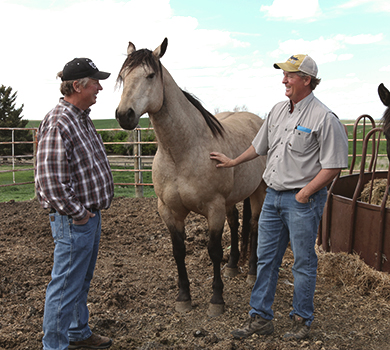 Clients of Conner Marr & Pinski with a horse.