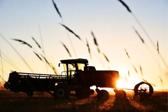 An image of a sunset with a truck in a grassy field.